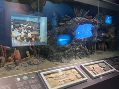 -正佳自然科学博物馆
