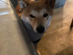 -the rug 飞毯 (朝阳公园店)