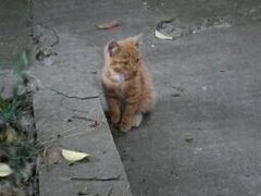 -合肥火车站(地铁站)