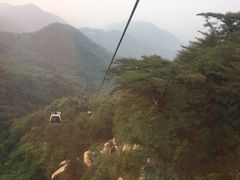 -赵记煎饼卷大葱(东岳店)