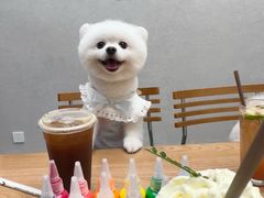 -樱桃家的宠物店(君安花园店)