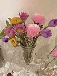 -美肤盾祛痘·问题肌头疗管理中心