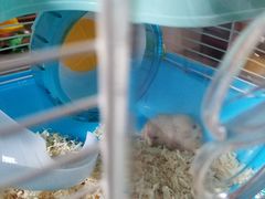 -龙猫仔乐园(惠福东路店)