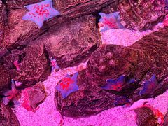 -沈阳海洋探索中心