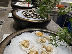 -太湖饭店玉兰厅(自助餐厅)