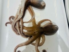 -王庄阿咪海鲜大排档(象园店)
