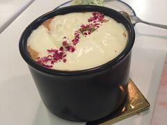 -阿狗圆子