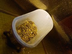 -不可思议减压馆·解压博物馆·摔碗发泄·团建定制