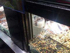 -满谷宝栗(奥林匹克店)