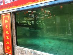 -年辉渔村