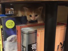 -看书吧(体育东横路店)