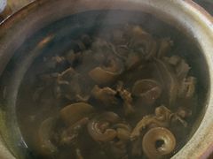 -霞姐屯昌枫木香草鸭店(海螺店)