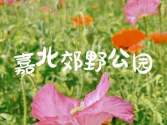 -嘉北郊野公园
