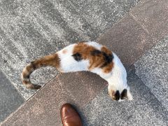 -苏州河梦清园环保主题公园