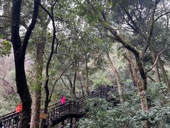 -杭州半山国家森林公园