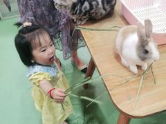 -藦茜花园宠物主题亲子互动体验馆(国顺东路店)