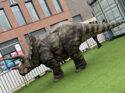 -恐龙探索乐园(磁器口店)