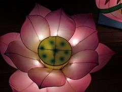 -八大山人梅湖景区