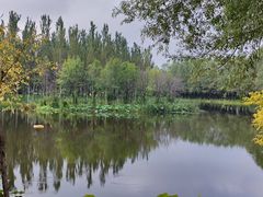 -东郊湿地公园