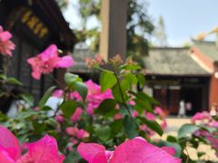 -成都市文殊院