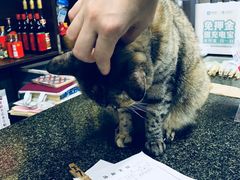 -协和菜馆(凤凰街店)