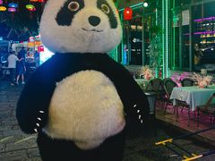 -喜鹊音乐酒馆(西街店)