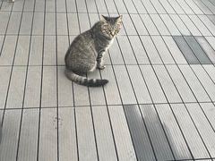 -前叁門