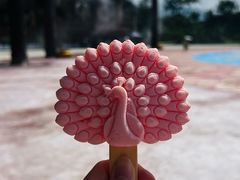 -西双版纳傣族园