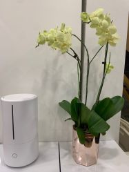 -YESIDO椰岛造型烫发染发