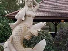 -天目湖涵田半山温泉