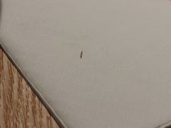 -鱼意寿司(钟村分店)