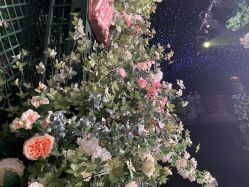 -格乐利雅婚礼艺术中心(南外滩店)