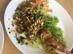 -大树下海鲜饭店