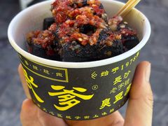 -武爹臭豆腐(坡子街店)