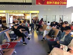 -合肥新桥国际机场-航站楼