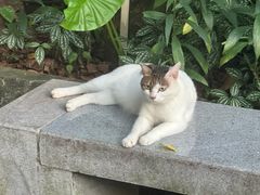 -广州珠江公园