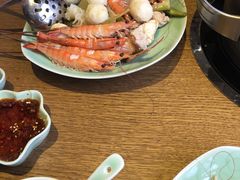 -海桐
