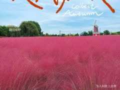 -羊亭河湿地公园