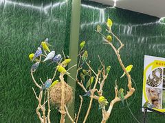 -荆州中山公园动物园