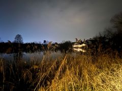 -新荣记(西溪湿地店)