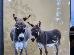 -第一驴.经典老菜.家常菜.火锅(友谊路店)