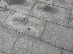 -十九峰景区