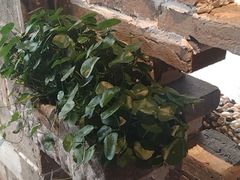 -临街徽菜馆·正宗黄山味