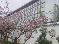 -观唐（国际）度假村温泉