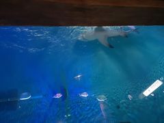 -华夏文旅西安度假区