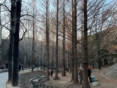 -白水寺森林公园