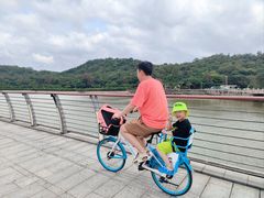 -野狸岛