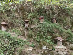 -太湖源风景区