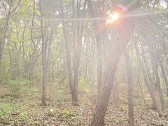-棋盘山风景区