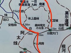 -莫尔道嘎国家森林公园